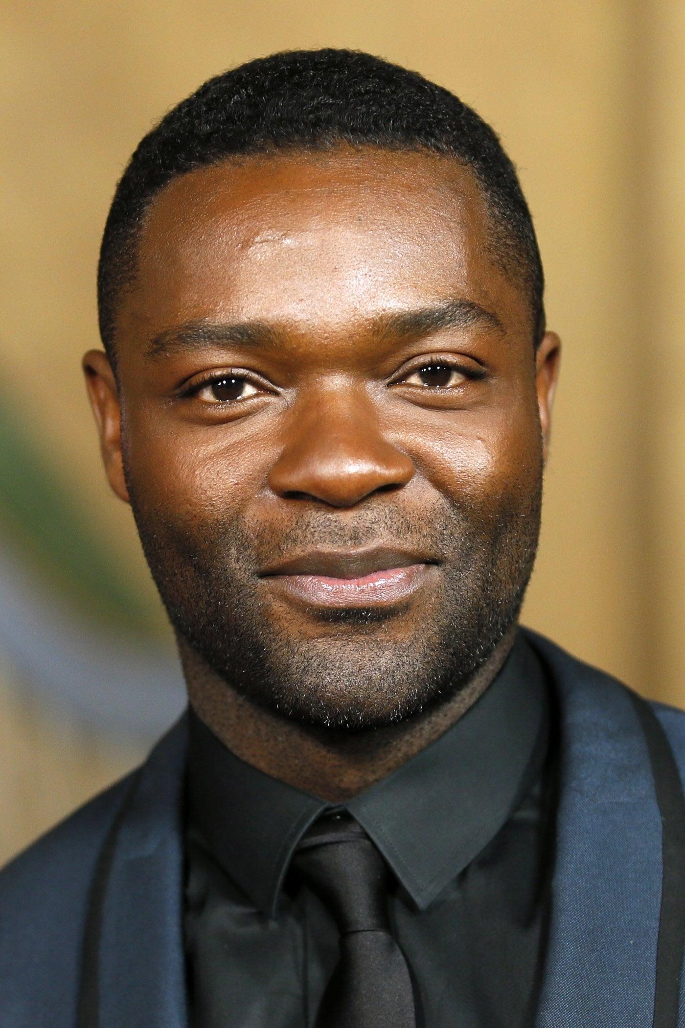 Смотреть популярные фильмы/сериалы онлайн с актером David Oyelowo в хорошем качестве