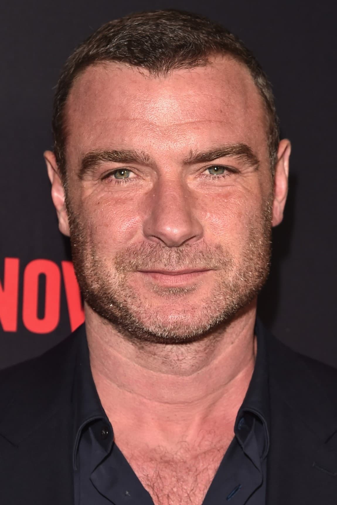 Смотреть популярные фильмы/сериалы онлайн с актером Liev Schreiber в хорошем качестве